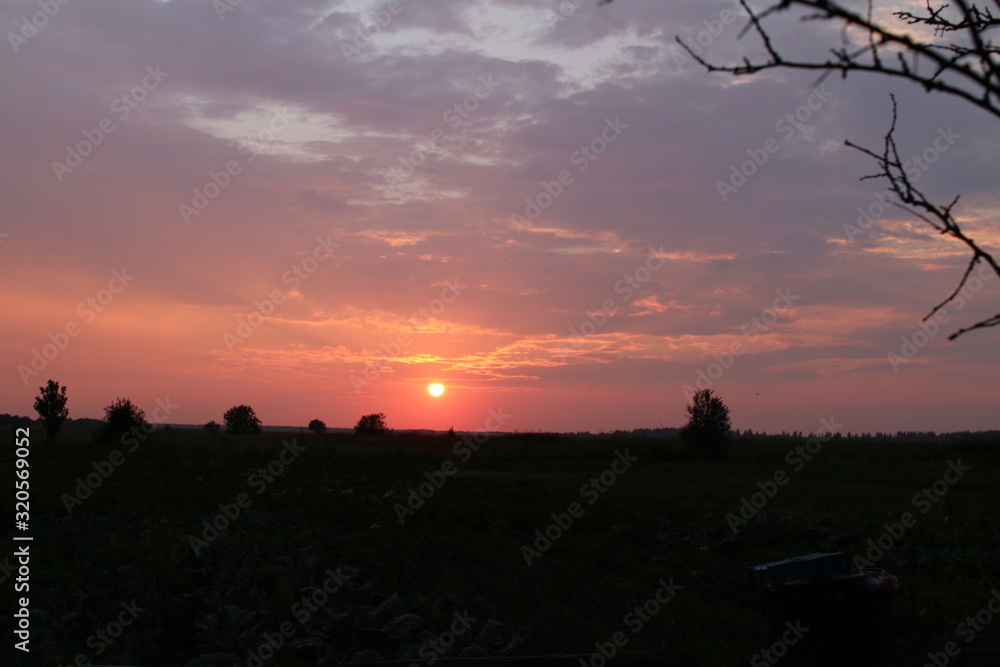 Obraz premium sunset in park