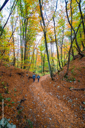 Autumn in the forest with two people