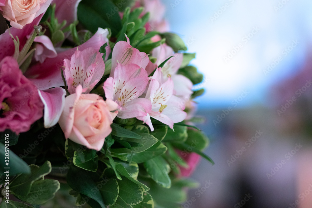 pink flowers in garden