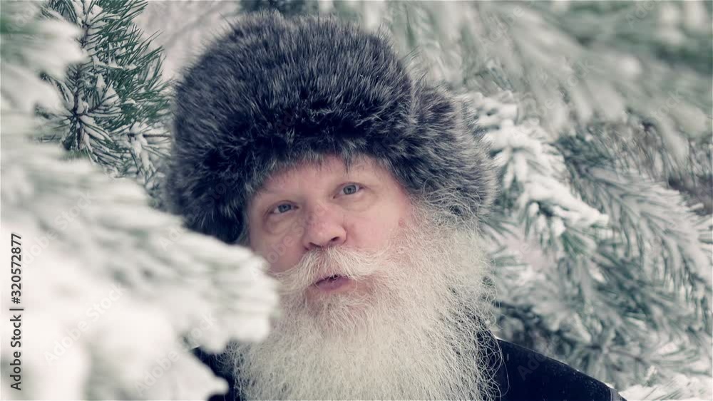 Happy middle aged bearded man dancing and whistling against pine tree. Closeup outdoors winter portrait in slow motion at snow-covered urban park. Healthy cheerful elderly retired person. Happy middle aged bearded man dancing and whistling against pine tree. Closeup outdoors winter portrait in slow motion at snow-covered urban park. Healthy cheerful elderly retired person.