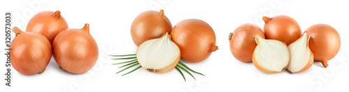Canvas Print yellow onion isolated on white background close up.