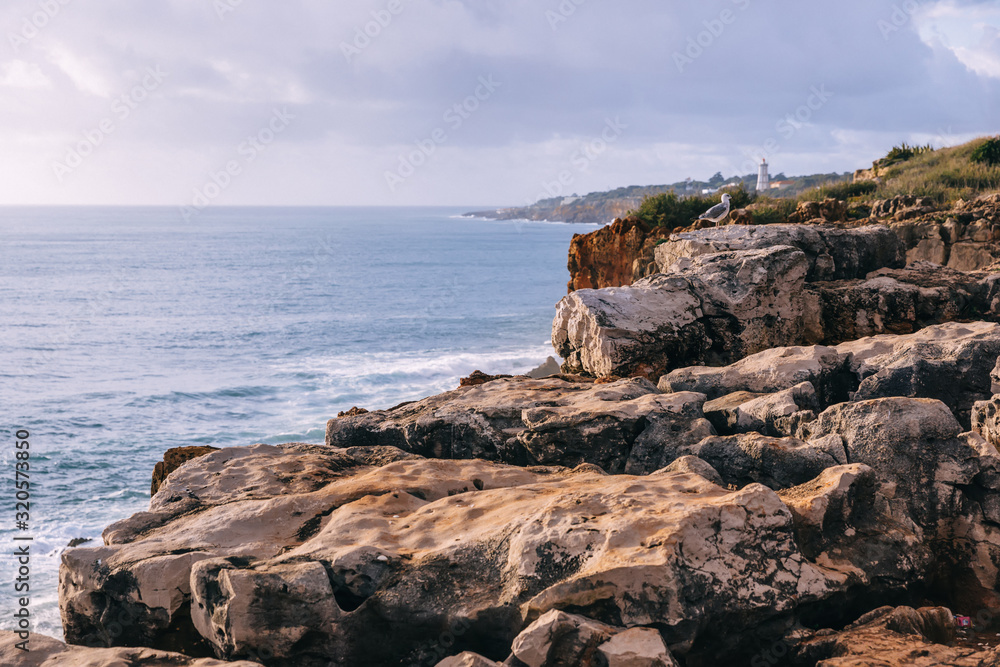 small seagull on large stones. rocky shore of the ocean. horizon small seagull on large stones. rocky shore of the ocean. horizon