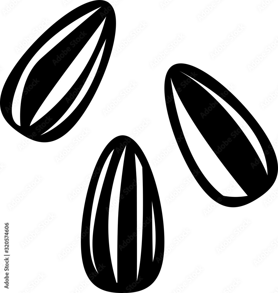 sunflower, vector illustration sunflower, vector illustration