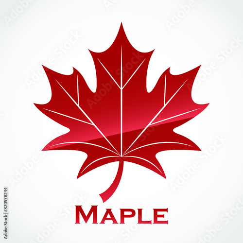 maple leaf glossy red logo