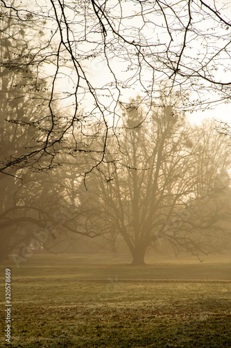 Wallpaper Mural Mglisty wschód słońca Torontodigital.ca