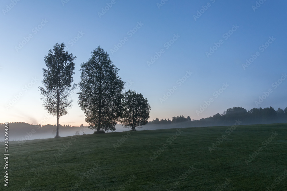 Dense fog Sunrise summer landscape over a field with trees visible through the fog. selective focus Dense fog Sunrise summer landscape over a field with trees visible through the fog. selective focus