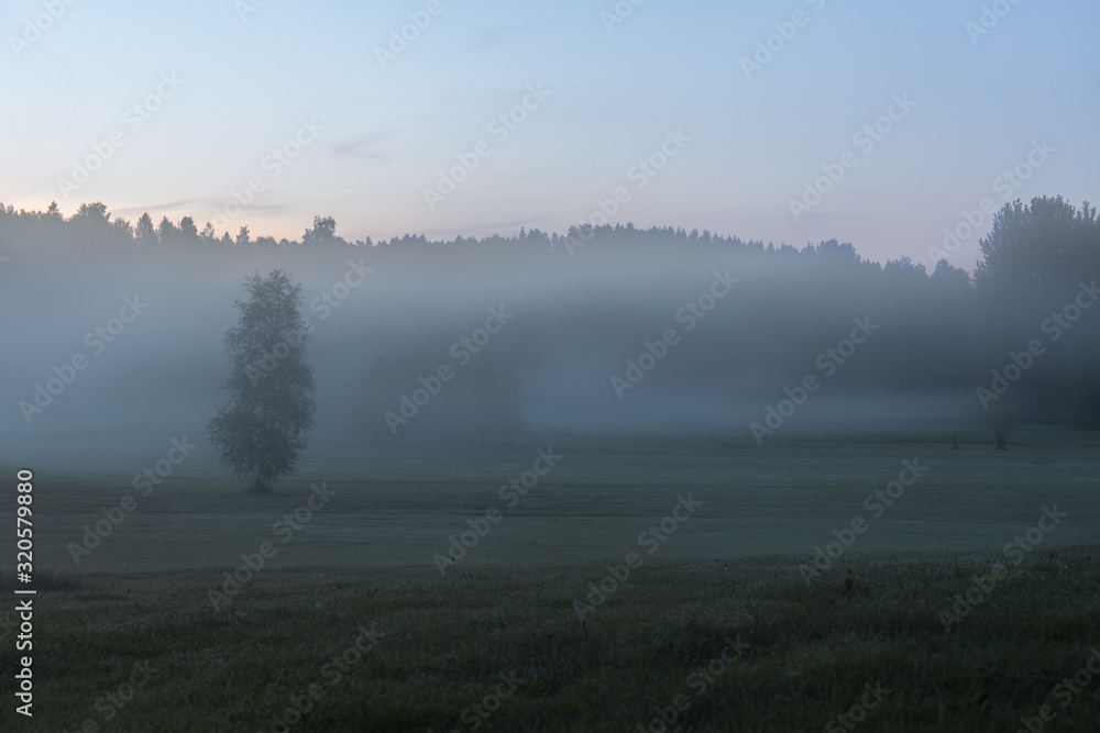 Dense fog Sunrise summer landscape over a field with trees visible through the fog. selective focus