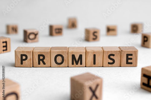 Promise - words from wooden blocks with letters, assurance swear promise concept, white background