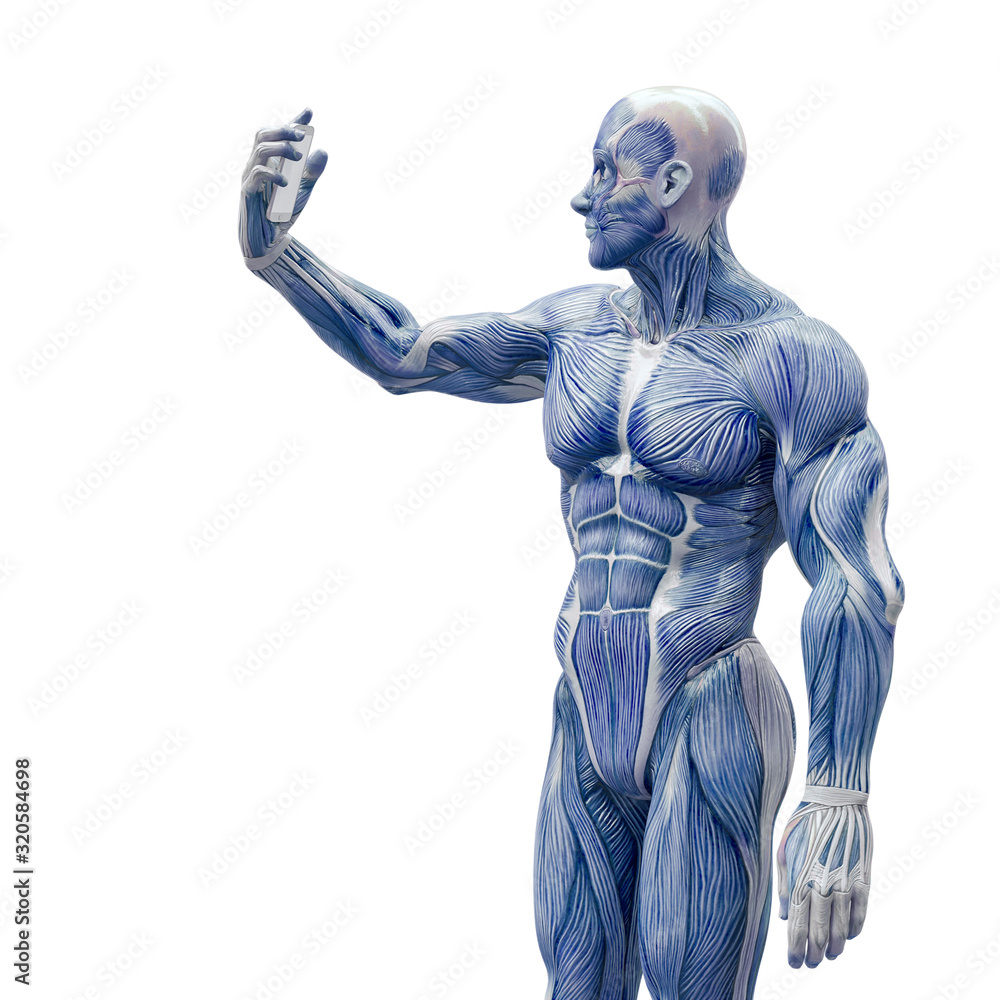 muscleman anatomy heroic body taking a selfie pose two in white background muscleman anatomy heroic body taking a selfie pose two in white background