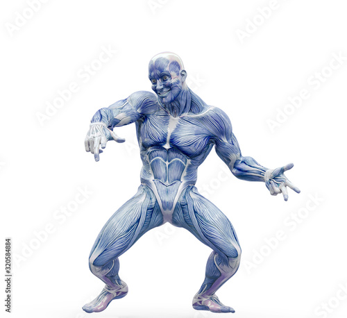 muscleman anatomy heroic body dancing in white background frontal