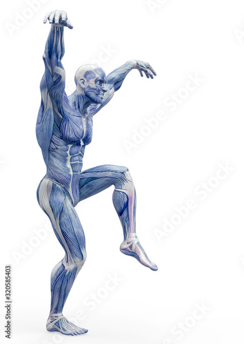 muscleman anatomy heroic body doing a karate pose in white background