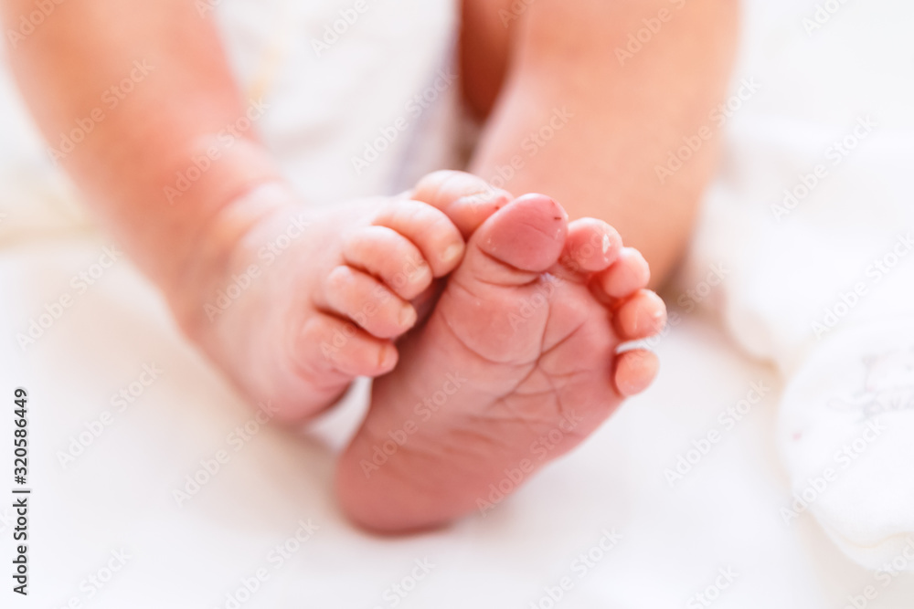 Newborn's legs are small in the hands of parents Newborn's legs are small in the hands of parents