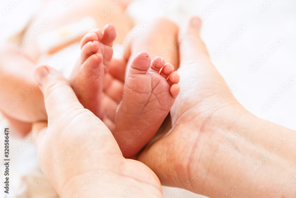 Newborn's legs are small in the hands of parents Newborn's legs are small in the hands of parents