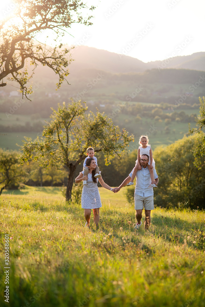 Fototapeta premium Family with two small children walking on meadow outdoors at sunset.