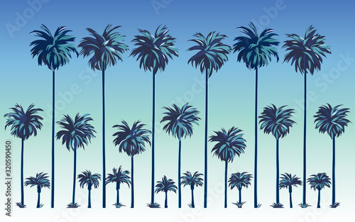 set a silhouette of palm trees against the background of