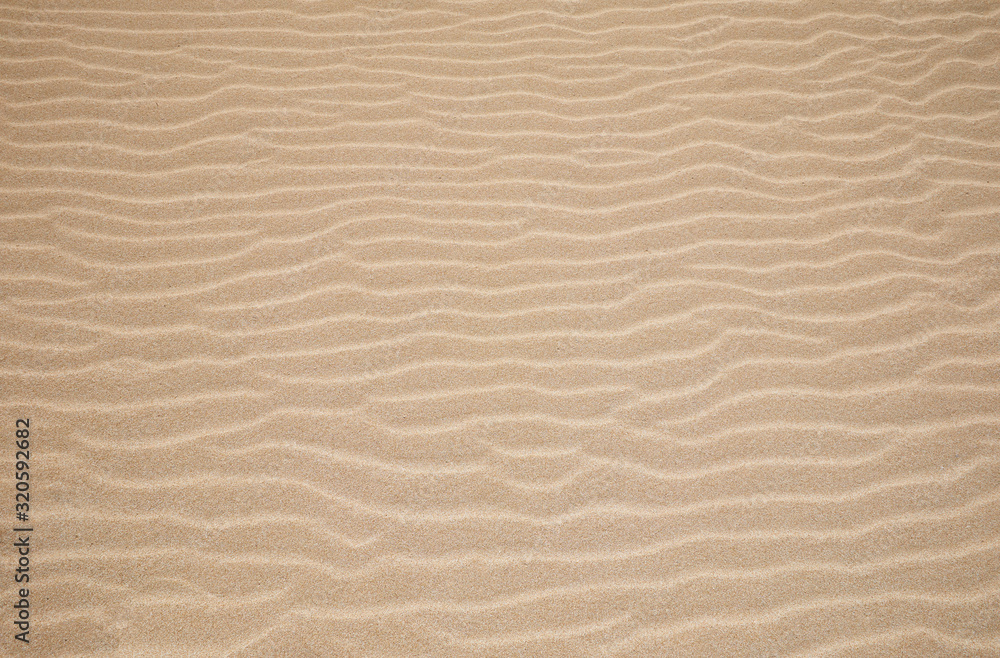 White Sand dunes background texture. Beach and sand texture. Pattern of sand. Beautiful sand dune in sunrise in the desert. Steps on the beach sand. White Sand dunes background texture. Beach and sand texture. Pattern of sand. Beautiful sand dune in sunrise in the desert. Steps on the beach sand.