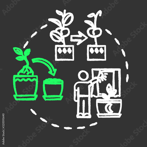 Dont move plants chalk RGB color concept icon. Houseplants caring. Floriculture tip. Flowers acclimatization idea. Vector isolated chalkboard illustration on black background