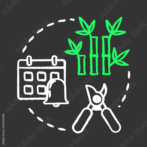 Regular prune plant chalk RGB color concept icon. Home potted flower caring. Cutting off dead branches or stems idea. Vector isolated chalkboard illustration on black background