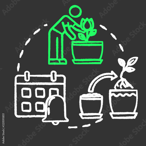 Timely repotting chalk RGB color concept icon. Houseplants concern. Indoor flowers caring. Regular replanting herbs idea. Vector isolated chalkboard illustration on black background