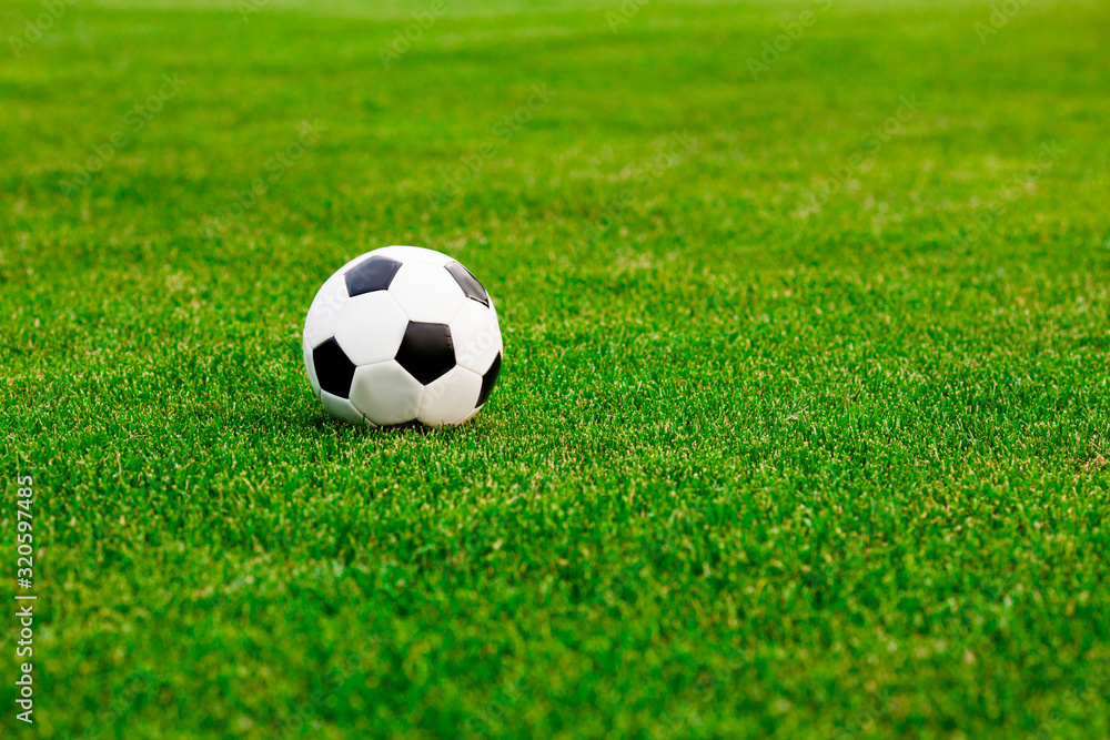 Obraz premium Soccer ball on the grass before the game