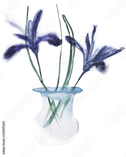 watercolor nature and flowers 