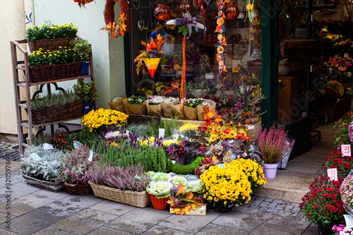 Autumn flowers and decorations in florist's shop photo