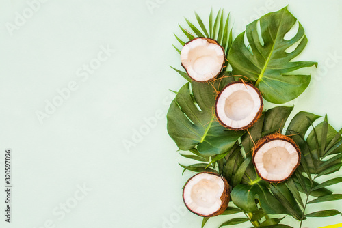 Tropical green leaves palm. Summer background © Morgan Studio