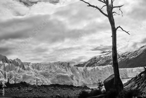 perito moreno glacier, patagonia, calafate, argentina © chfortunato2015