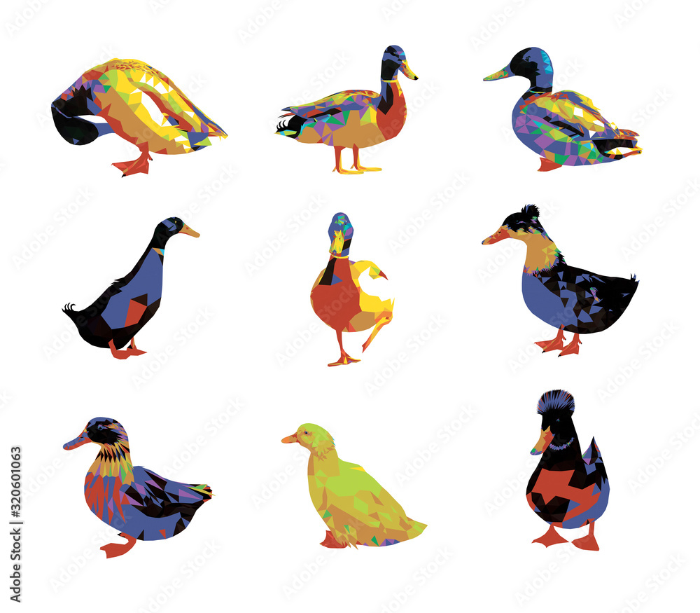 Obraz premium Low poly triangular duck set on grey background, vector illustration EPS10 isolated. Polygonal style trendy modern logo design. Suitable for printing on a t-shirt.