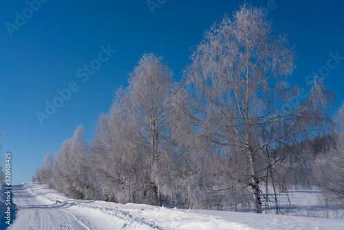 winter mountain landscape with snowy trees and blue sky