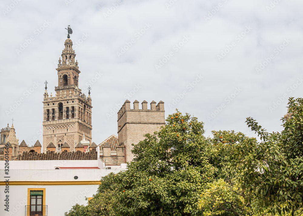 view of the giralda from the patio of flags of seville