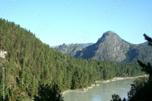 Fototapeta Naklejka Na Ścianę i Meble -  Mountains covered with forest, in summer in Sunny weather, next to the river