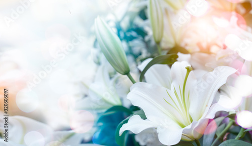 Fototapeta Naklejka Na Ścianę i Meble -  Easter lily Lilium longiflorum.Bouquet of lilies. Lily is a genus of plants.