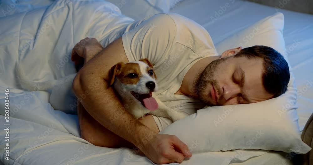 a man sleeps on his side in a bed with white linen in an embrace with his dog. the pet stuck out its tongue. the guy wakes up and strokes the animal. close up. bottom blue light a man sleeps on his side in a bed with white linen in an embrace with his dog. the pet stuck out its tongue. the guy wakes up and strokes the animal. close up. bottom blue light