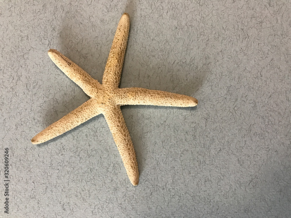 background for a postcard with a white starfish background for a postcard with a white starfish