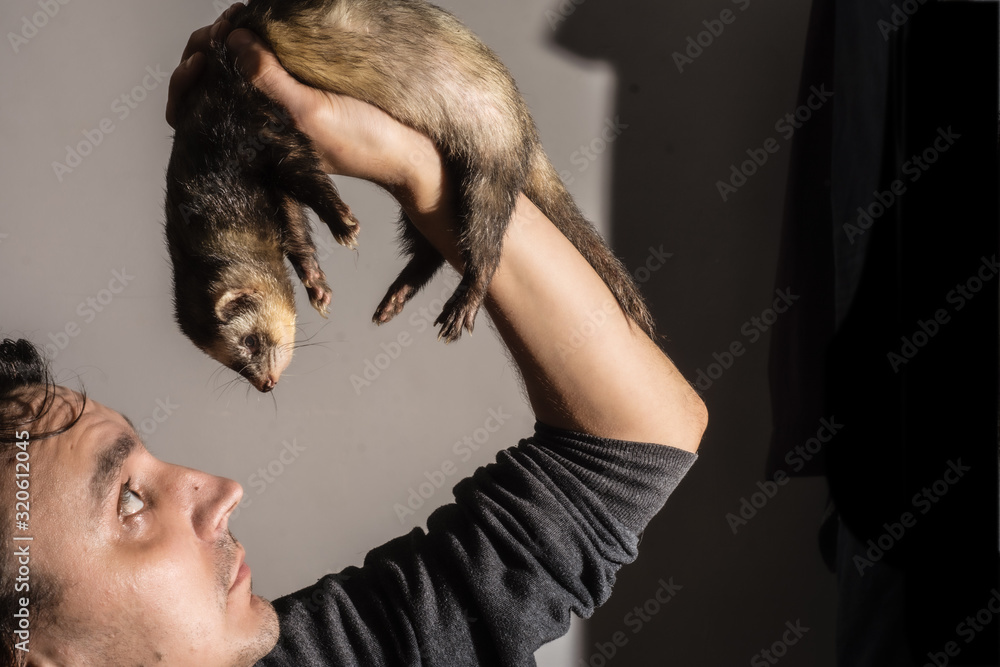 man with a ferret man with a ferret