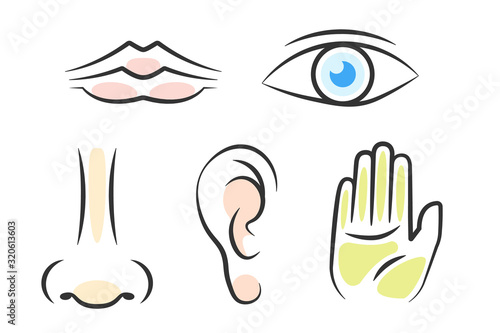 5 sense colorful icon set. Clipart image isolated on white background