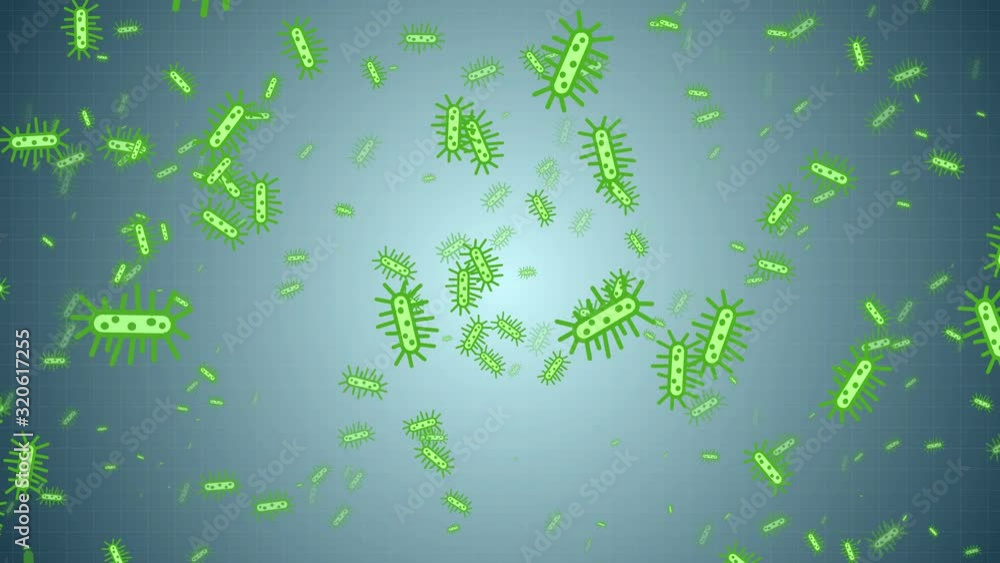 Beautiful microscope rotating colonies / bacteria / cells volvox