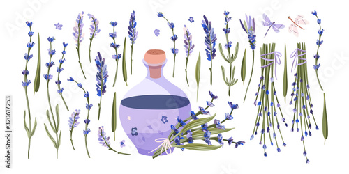 Provence floral vector set. Big hand drawn collection with aromatic lavender flower bouquet and oil in a flat style.