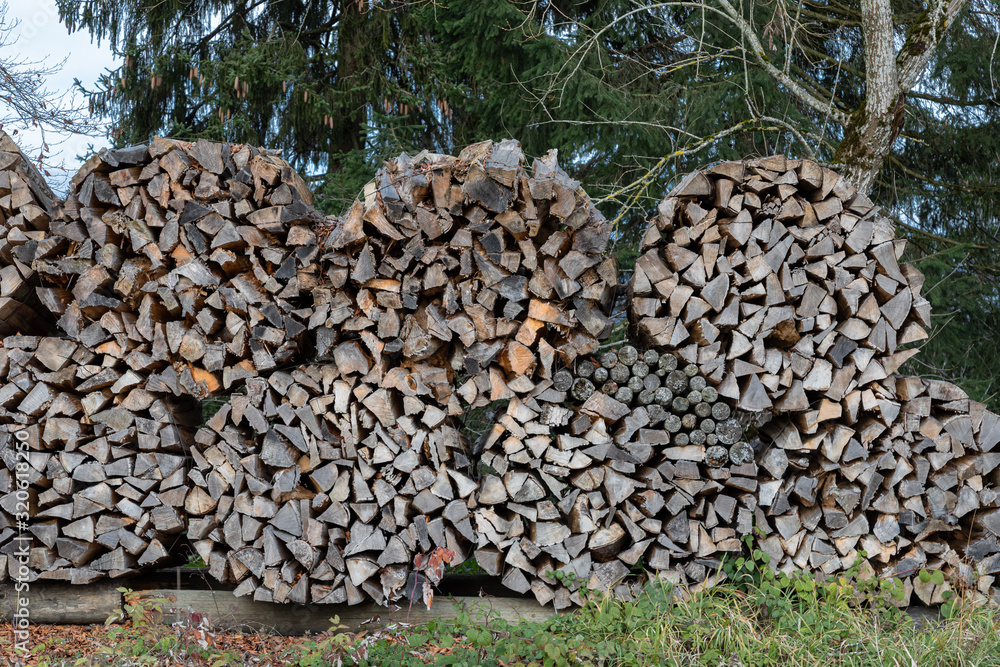 cut stack of wood on a green meadow with forest in the background