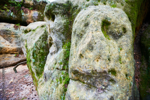 Rock sculptures of giant heads and other artworks Harfenice (Harfenist) carved into the sandstone cliffs in pine forest above village Zelizy by Vaclav Levy, Central Bohemia, Kokorin, Czech republic photo