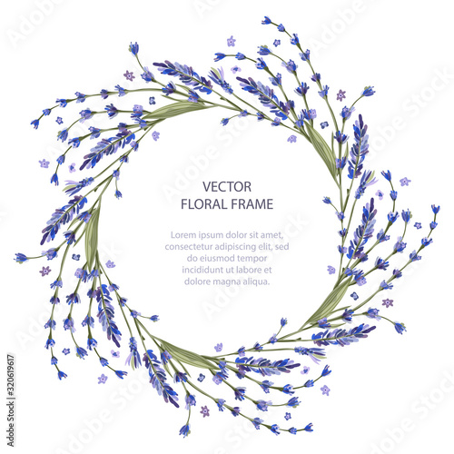 Wreath vector frame floral card greeting template in a flat style. Circle wedding or birthday romantic background with lavender flowers.