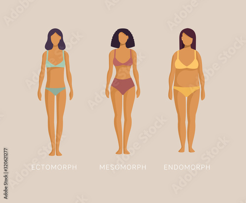 Ectomorph, mesomorph, endomorph. Woman in underwear three different kinds of body sizes and types of figure. Female body constitution. Cartoon vector illustration in flat design style.