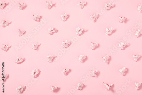 Beautiful flowers composition. Pink flowers on pastel pink background. Valentines Day, Easter, Birthday, Happy Women's Day, Mother's day. Flat lay, top view, copy space