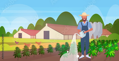 farmer watering cannabis outdoors industrial hemp plantation growing marijuana plant commercial business drug consumption concept farmland field countryside horizontal vector illustration