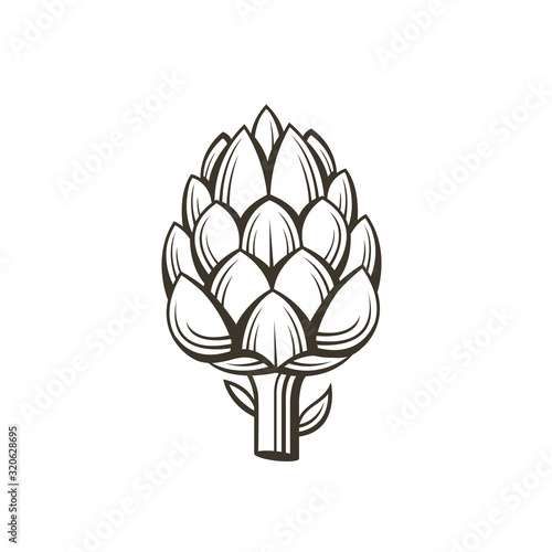 black artichoke bud vegetable illustration isolated on white background