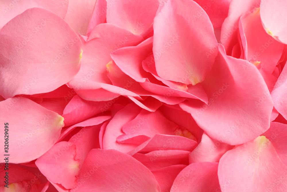 Fresh pink rose petals as background, closeup Fresh pink rose petals as background, closeup