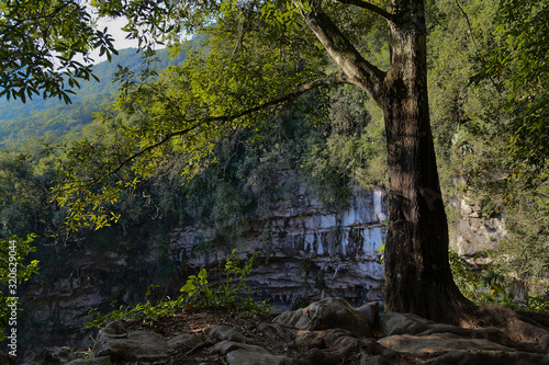 Basement of Las Golondrinas (Hirundo rustica) is a natural abyss located in the town of Aquismón belonging to the Mexican state of San Luis Potosí