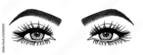 Illustration with woman's eyes, eyelashes and eyebrows. Makeup Look. Tattoo design. Logo for brow bar or lash salon.