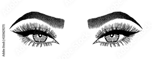 Illustration with woman's eyes, eyelashes and eyebrows. Makeup Look. Tattoo design. Logo for brow bar or lash salon.